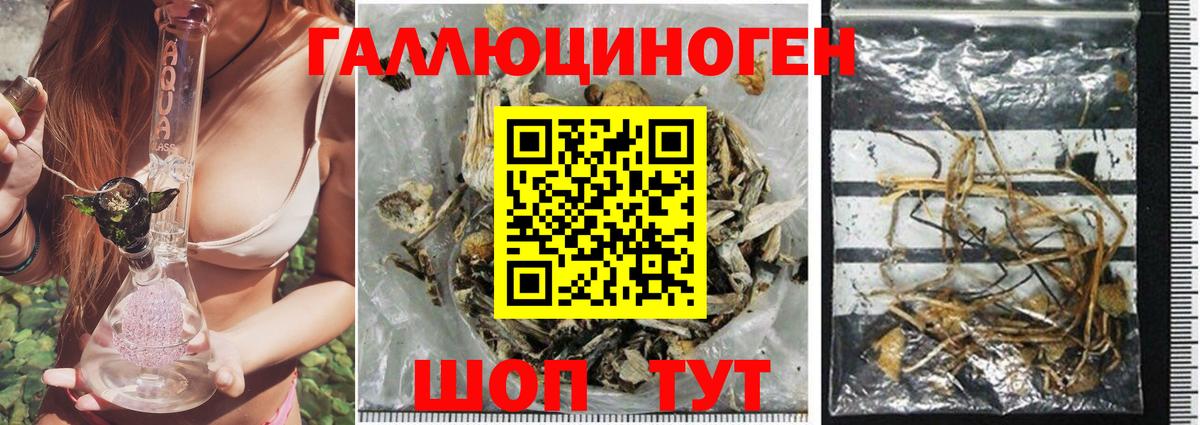 Джанкой  Галлюциногенные грибы GOLDEN TEACHER  Вход с VPN 